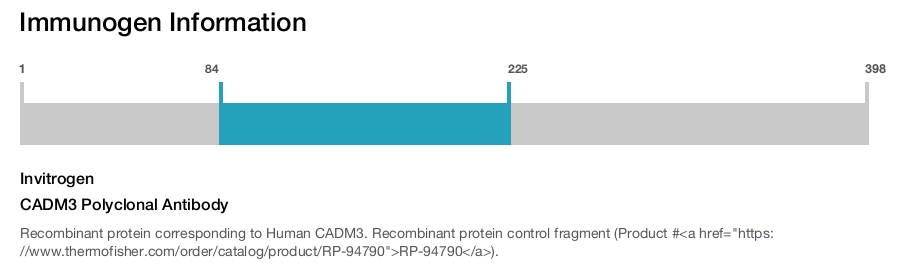CADM3 Polyclonal Antibody