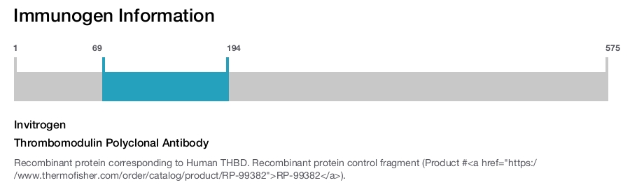 Thrombomodulin Polyclonal Antibody