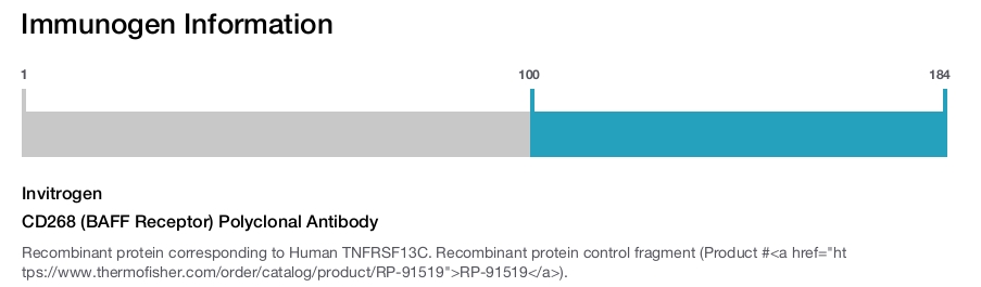 CD268 (BAFF Receptor) Polyclonal Antibody