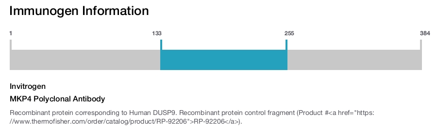 MKP4 Polyclonal Antibody