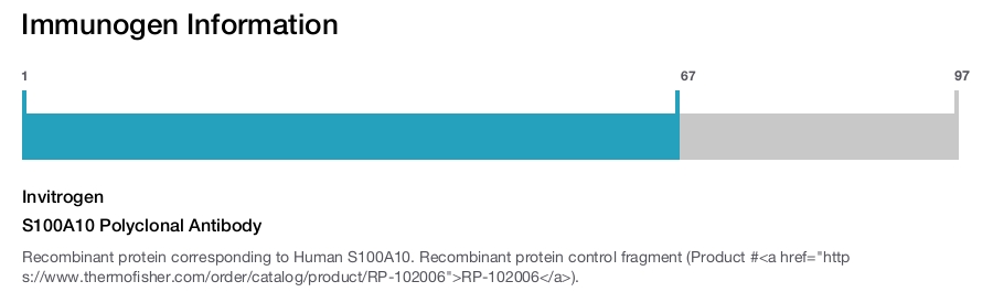 S100A10 Polyclonal Antibody