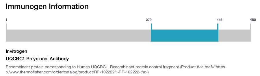 UQCRC1 Polyclonal Antibody