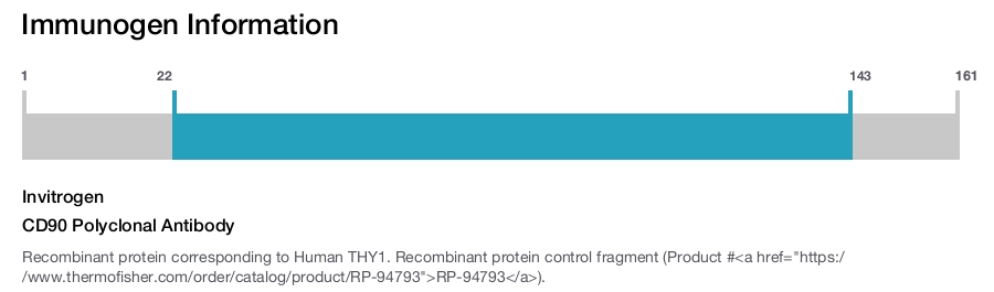 CD90 Polyclonal Antibody