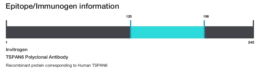 TSPAN6 Polyclonal Antibody