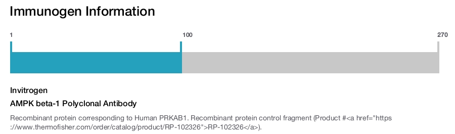 AMPK beta-1 Polyclonal Antibody