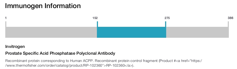 Prostate Specific Acid Phosphatase Polyclonal Antibody