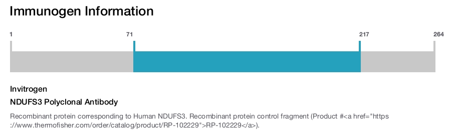 NDUFS3 Polyclonal Antibody