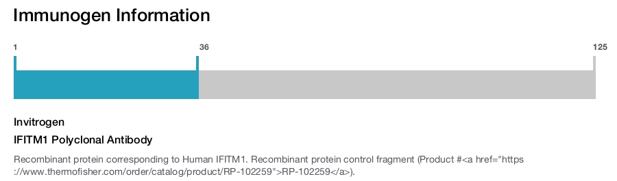 IFITM1 Polyclonal Antibody