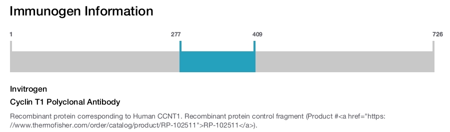 Cyclin T1 Polyclonal Antibody