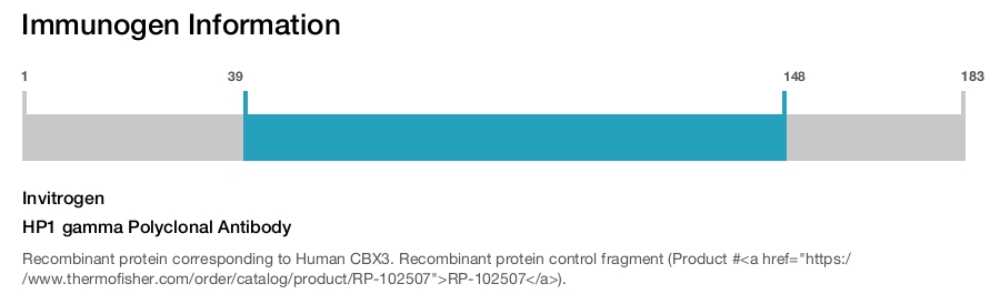 HP1 gamma Polyclonal Antibody