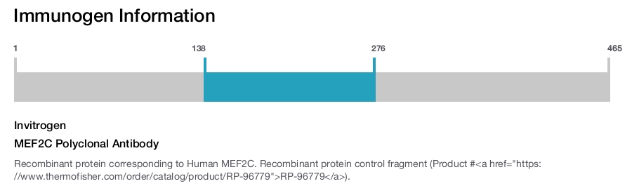 MEF2C Polyclonal Antibody