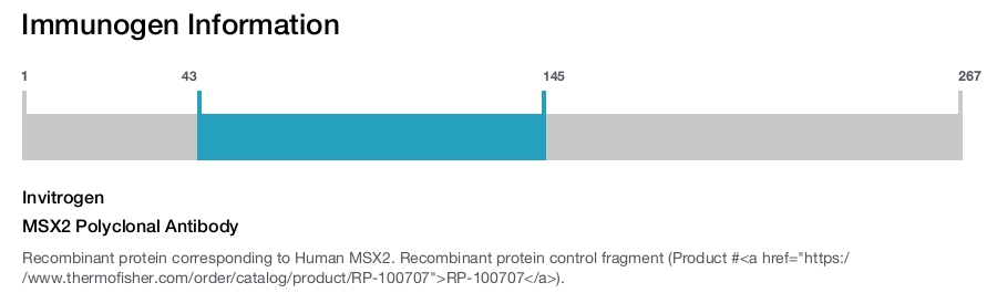 MSX2 Polyclonal Antibody