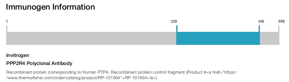 PPP2R4 Polyclonal Antibody
