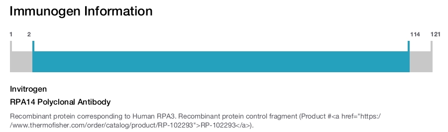 RPA14 Polyclonal Antibody