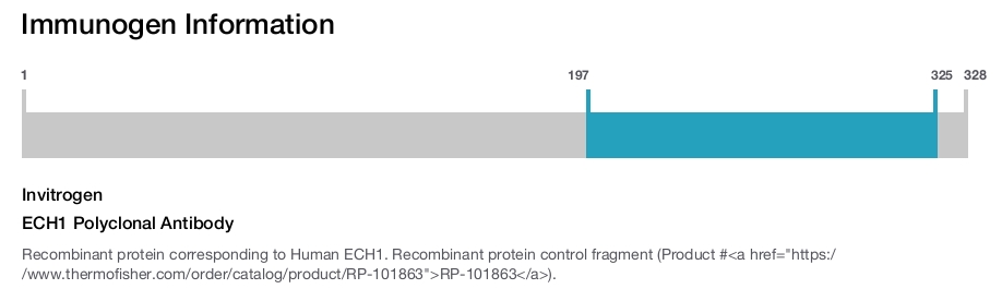 ECH1 Polyclonal Antibody