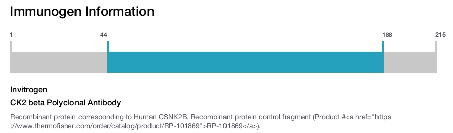 CK2 beta Polyclonal Antibody