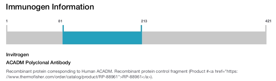 ACADM Polyclonal Antibody