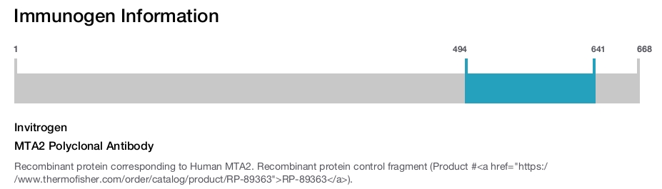 MTA2 Polyclonal Antibody