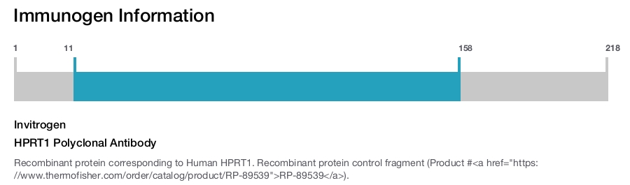 HPRT1 Polyclonal Antibody