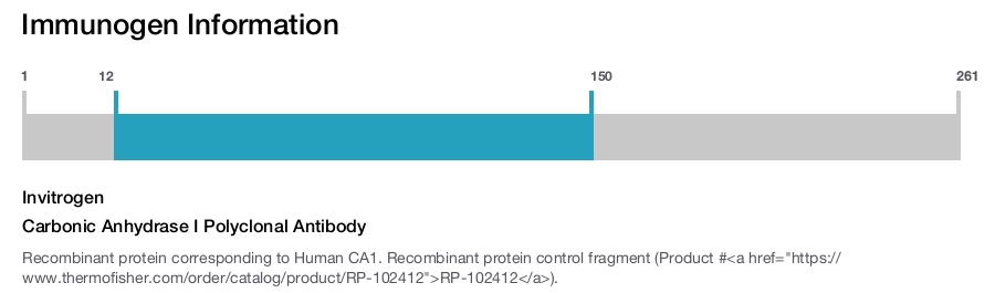 Carbonic Anhydrase I Polyclonal Antibody