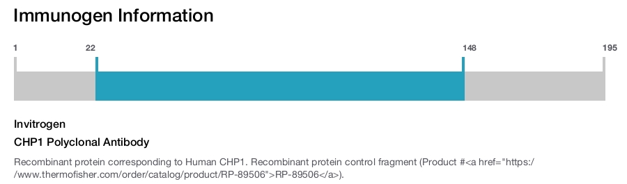 CHP1 Polyclonal Antibody