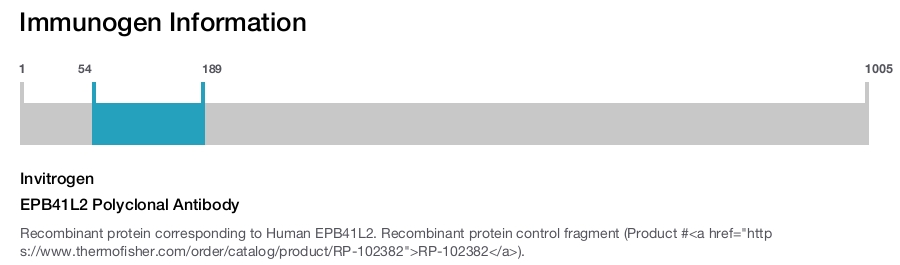 EPB41L2 Polyclonal Antibody