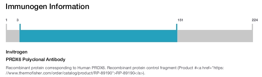 PRDX6 Polyclonal Antibody