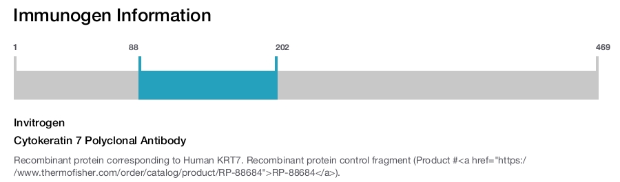 Cytokeratin 7 Polyclonal Antibody