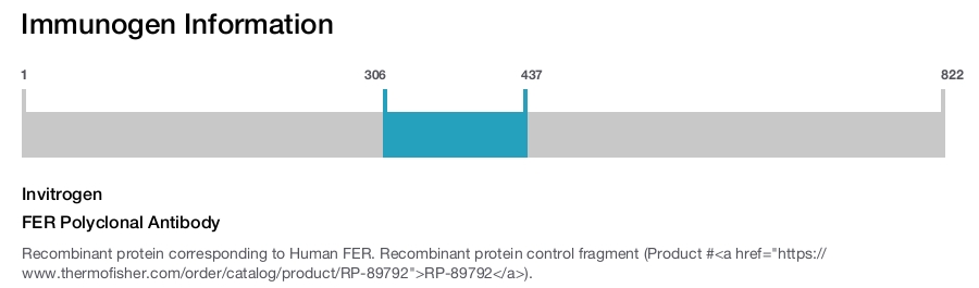 FER Polyclonal Antibody