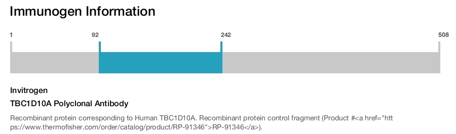 TBC1D10A Polyclonal Antibody