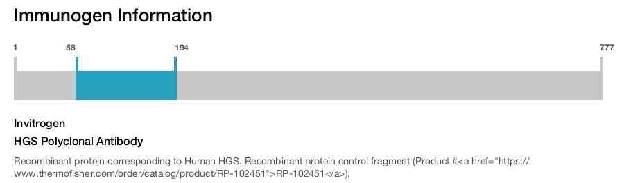 HGS Polyclonal Antibody