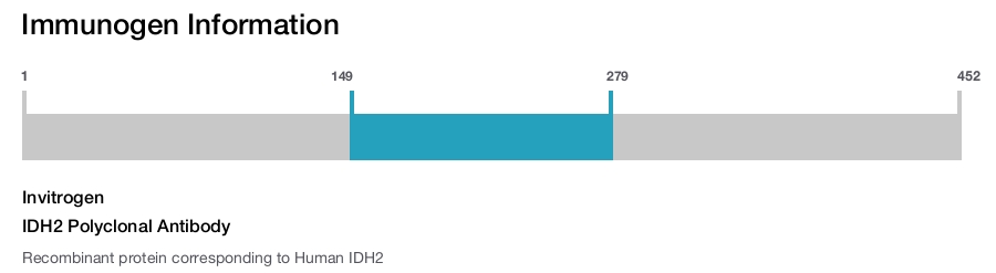 IDH2 Polyclonal Antibody