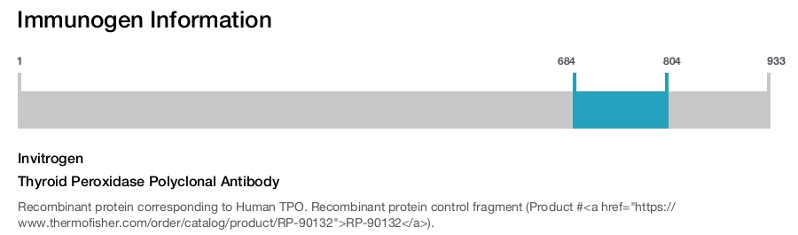 Thyroid Peroxidase Polyclonal Antibody