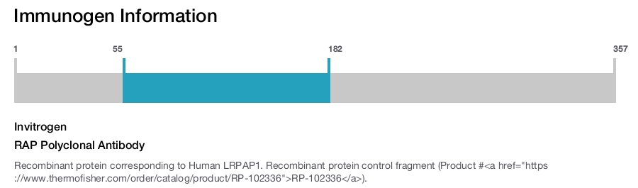RAP Polyclonal Antibody