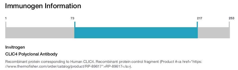 CLIC4 Polyclonal Antibody