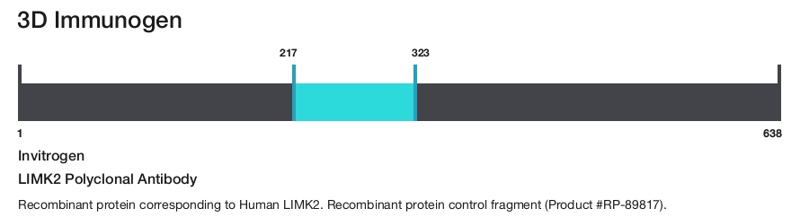 LIMK2 Polyclonal Antibody