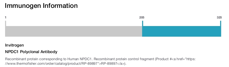 NPDC1 Polyclonal Antibody