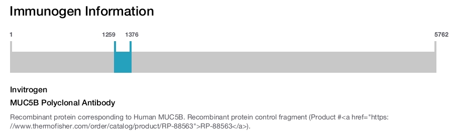 MUC5B Polyclonal Antibody