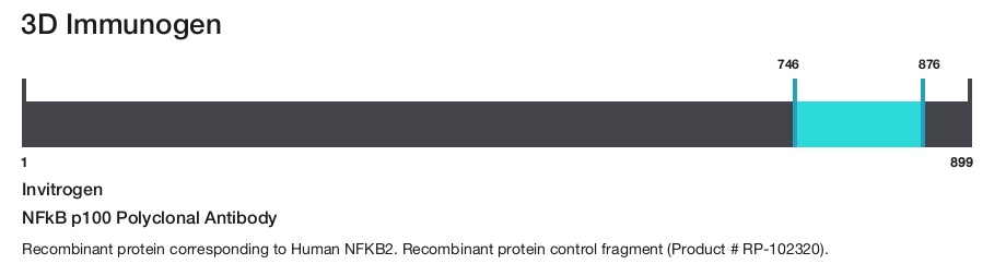 NFkB p100 Polyclonal Antibody