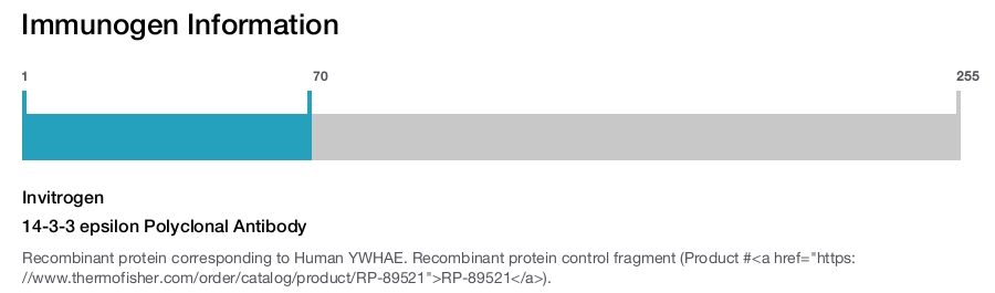 14-3-3 epsilon Polyclonal Antibody