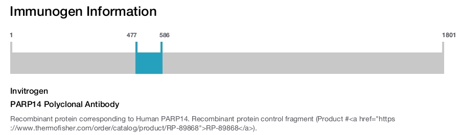PARP14 Polyclonal Antibody