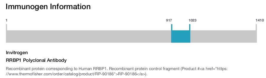 RRBP1 Polyclonal Antibody