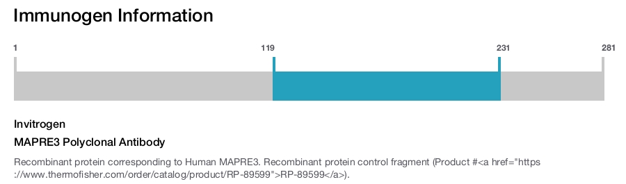 MAPRE3 Polyclonal Antibody