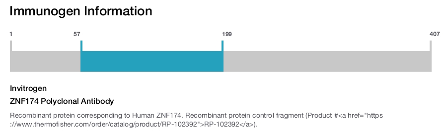 ZNF174 Polyclonal Antibody