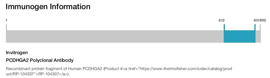 PCDHGA2 Polyclonal Antibody