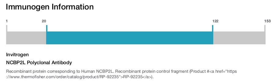 NCBP2L Polyclonal Antibody