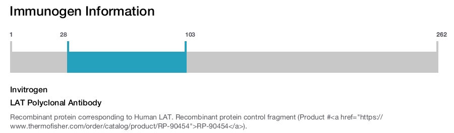 LAT Polyclonal Antibody