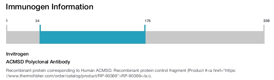 ACMSD Polyclonal Antibody