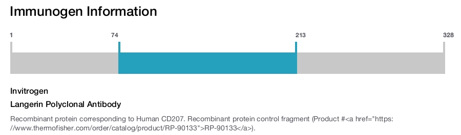 Langerin Polyclonal Antibody