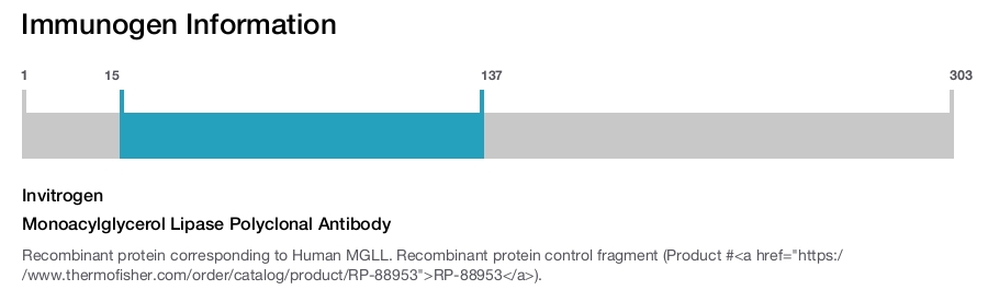 Monoacylglycerol Lipase Polyclonal Antibody